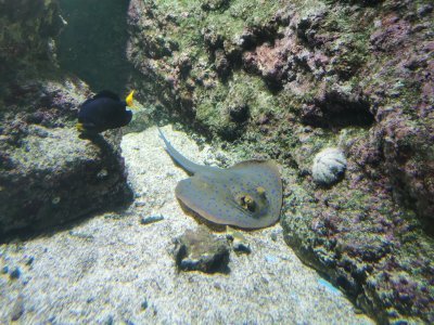 46.15326309194445,-1.15064144111111