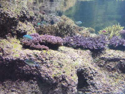 46.15326309194445,-1.15064144111111