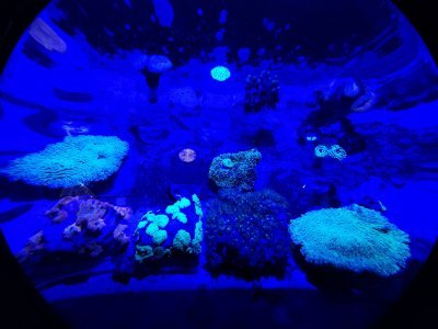 46.15343093861111,-1.15040838694444