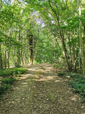 48.79459762555555,2.25809454916667