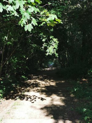 48.81463623027778,2.29317140555556