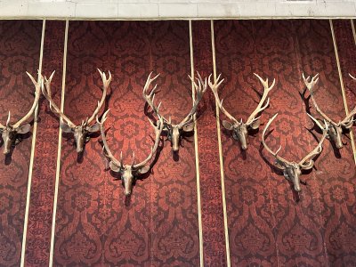 47.61657777777778,1.51654444444444