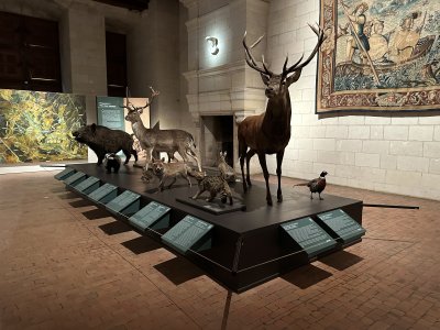 47.61603611111111,1.51685