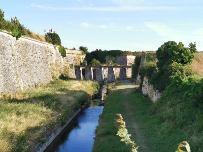 45.88861111111111,-1.19138888888889