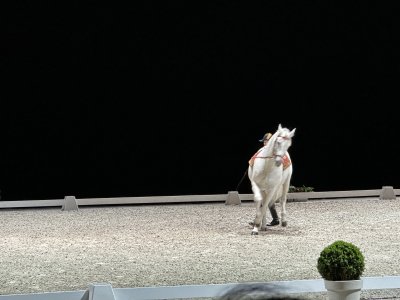 48.89564444444444,2.22927222222222