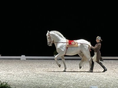 48.89549722222223,2.22843055555556