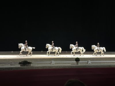 L'Ecole d'Equitation espagnole de Vienne
