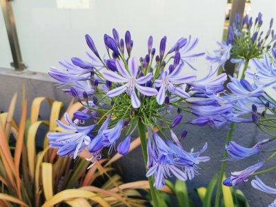 46.339401245,-0.40119922138889