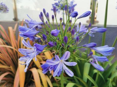 46.339401245,-0.40119922138889