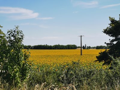 Entre La Rochelle et Tours