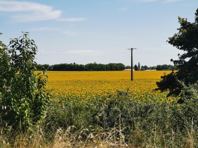 46.3531684875,-0.32254680972222