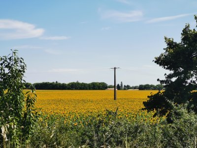 46.3531684875,-0.32254680972222