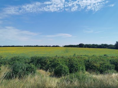 46.35519790638889,-0.33043763027778