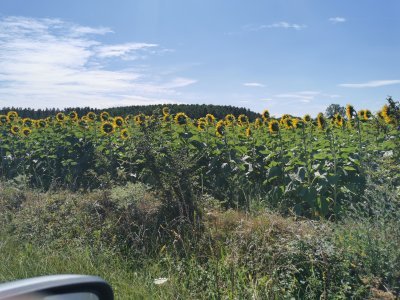 46.99828720083333,-0.10897596916667