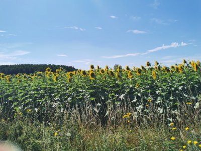 46.99828720083333,-0.10897596916667