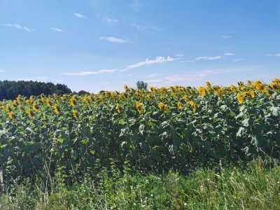 46.99828720083333,-0.10897596916667