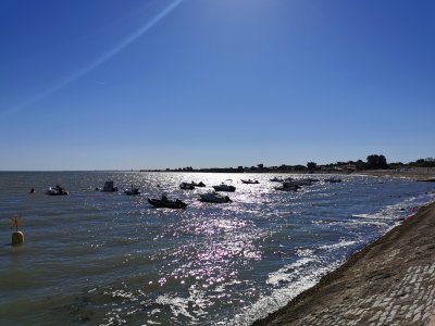 Île de ré