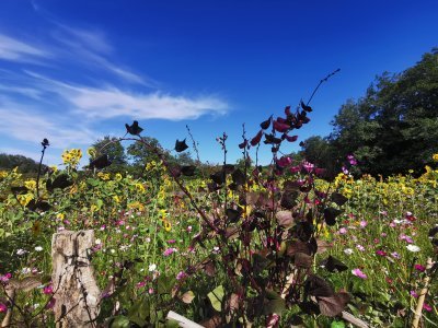 42.98474121083333,1.78964304916667