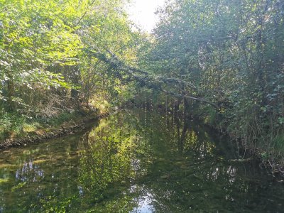 42.97481536861111,1.76377010333333