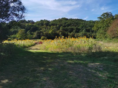 42.98474121083333,1.78964304916667