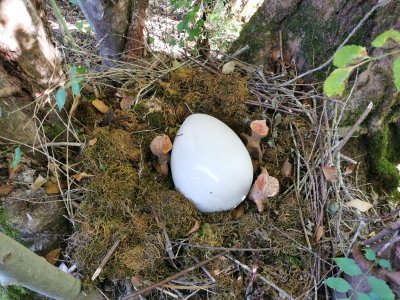 42.98358917222222,1.78440475444444