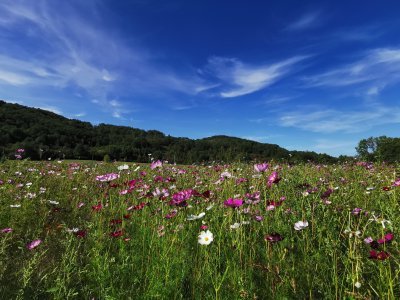 42.9839019775,1.78418505166667