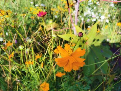 42.98381042472222,1.78410744666667