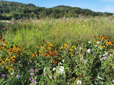 42.98381042472222,1.78410744666667