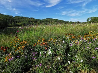 42.97047042833334,1.76955223083333