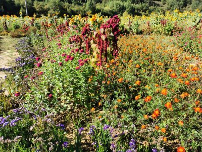 42.97481536861111,1.76377010333333