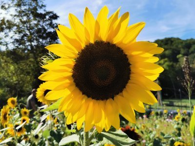 42.97481536861111,1.76377010333333