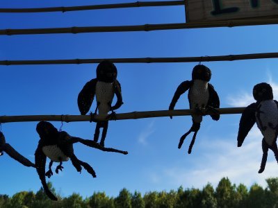 42.97481536861111,1.76377010333333