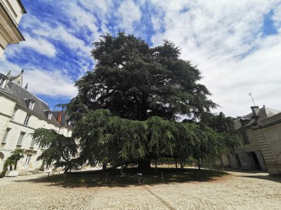 47.39500427222222,0.69420140972222