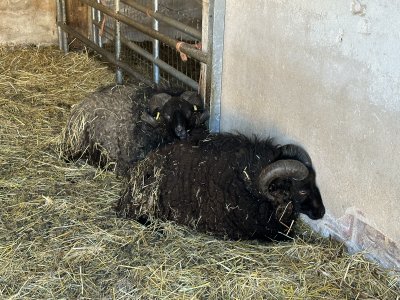 47.93631111111111,2.35882222222222