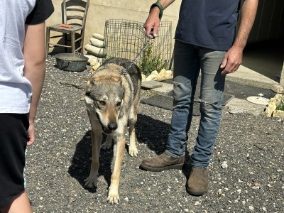 47.93646666666666,2.35895555555556