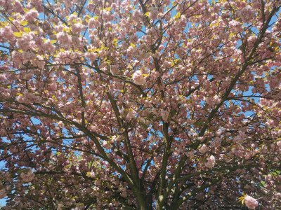 48.95068740833334,3.13264369944444