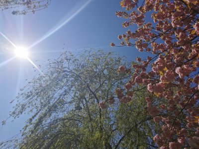 48.951171875,3.13266277305556