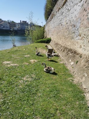 48.94856643666667,3.13214993472222