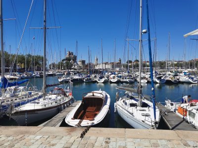 46.15652084333333,-1.14984691138889