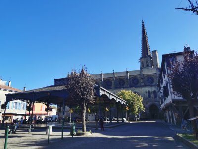 43.08835601805556,1.874138355