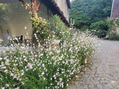 49.02890396111111,1.83919763555556