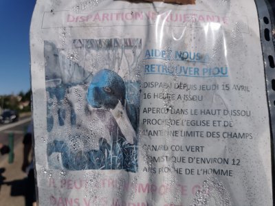 49.03019332861111,1.85002279277778