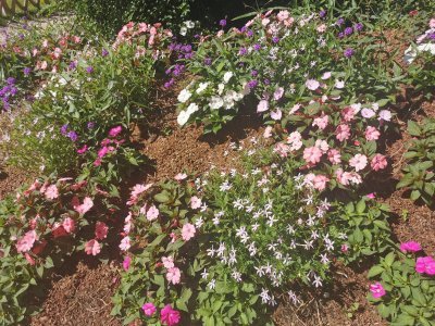 48.80352783194444,2.26754879944444