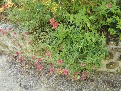 48.80275726305555,2.26781702027778