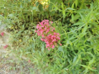 48.80275726305555,2.26781702027778