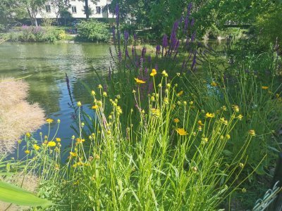 48.80347061138889,2.26715087888889