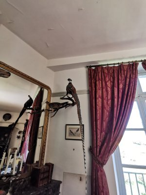 47.68437576277778,2.65121269222222