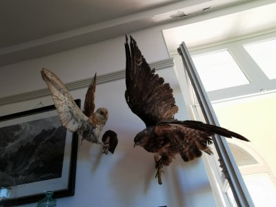 47.64860153194444,2.71960949888889