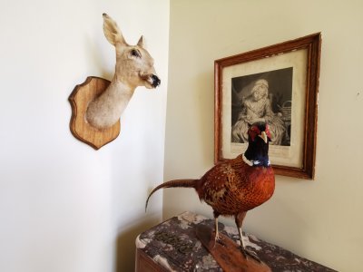 47.64993286111111,2.68209457388889