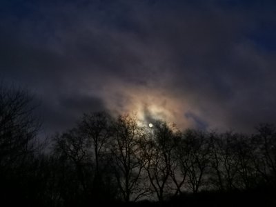 48.86386871333333,1.79941189277778